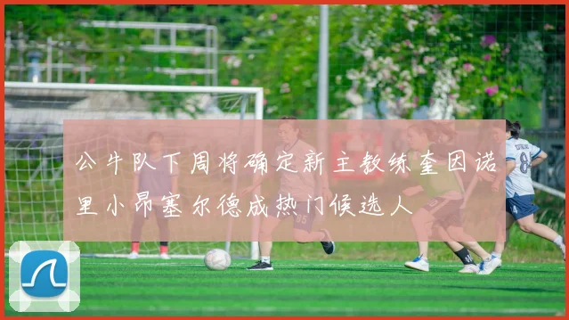 公牛队下周将确定新主教练奎因诺里小昂塞尔德成热门候选人